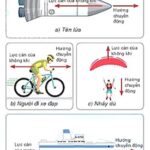 Lực nâng là gì, ảnh minh họa lực nâng khí động học