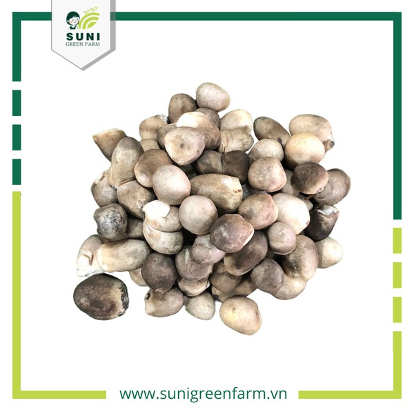 Nấm rơm dễ trồng và giàu dinh dưỡng