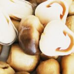 Cách sơ chế nấm rơm