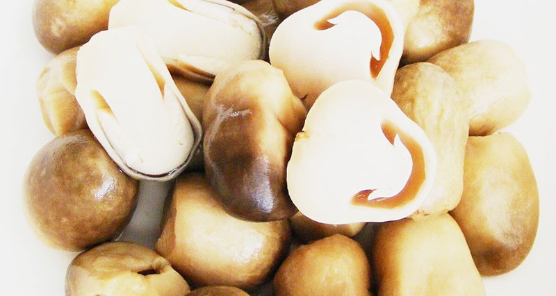Cách sơ chế nấm rơm
