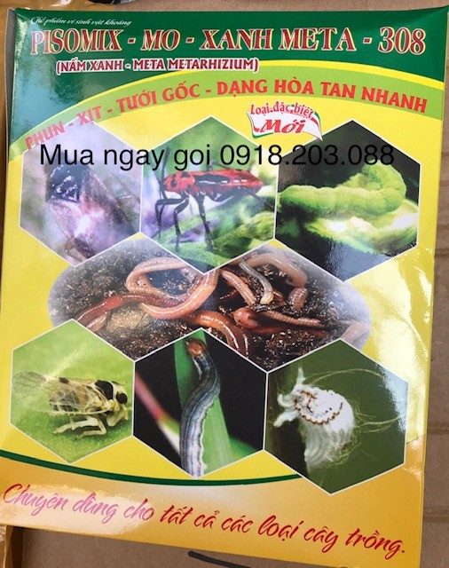 Nấm xanh Metarhizium