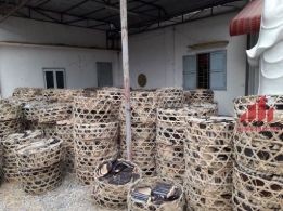 Kiểm tra chất lượng ngói âm dương trước khi mua