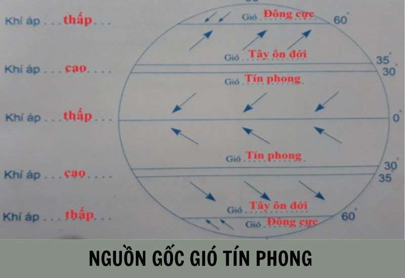 Nguồn gốc hình thành gió tín phong, thổi từ áp cao cận nhiệt đới về áp thấp xích đạo