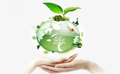 Ô nhiễm môi trường