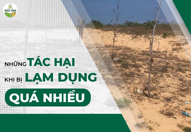 Tác hại của lạm dụng phân bón hóa học