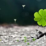 Một người đang đứng trên đỉnh núi cao, nhìn về phía chân trời xa xăm, thể hiện sự tự tin và niềm tin vào tương lai