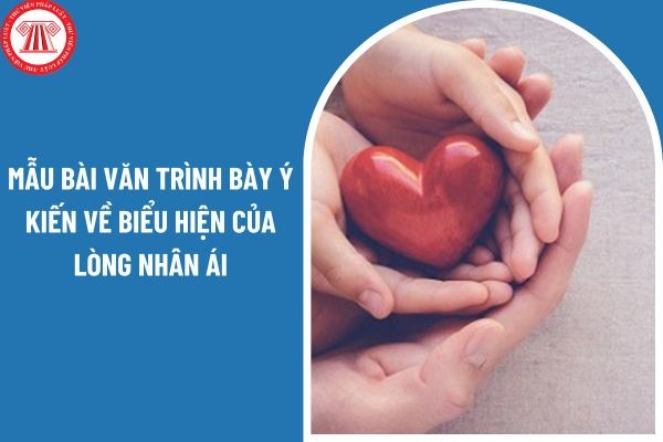 Một người phụ nữ đang cho một cụ già ăn, thể hiện lòng nhân ái và sự quan tâm đến người lớn tuổi