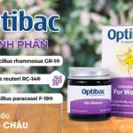 Lactobacillus rhamnosus GR-1 và Lactobacillus reuteri RC-14 giúp duy trì hệ vi sinh vật âm đạo khỏe mạnh