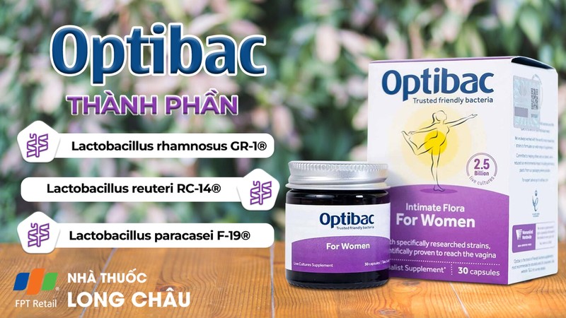 Lactobacillus rhamnosus GR-1 và Lactobacillus reuteri RC-14 giúp duy trì hệ vi sinh vật âm đạo khỏe mạnh