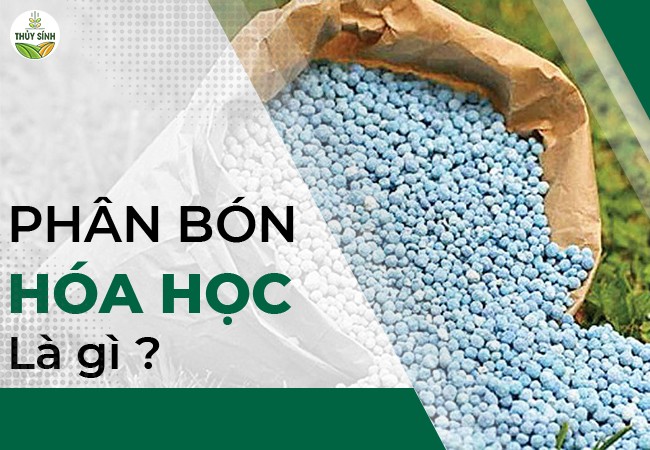 Phân bón hóa học là gì