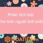Phân tích vẻ đẹp tâm hồn người lính đảo qua thơ Trần Đăng Khoa