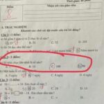 Số tròn chục là gì?