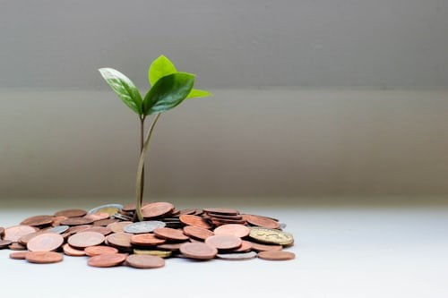 Ảnh minh họa biểu đồ tỷ giá USD/VND