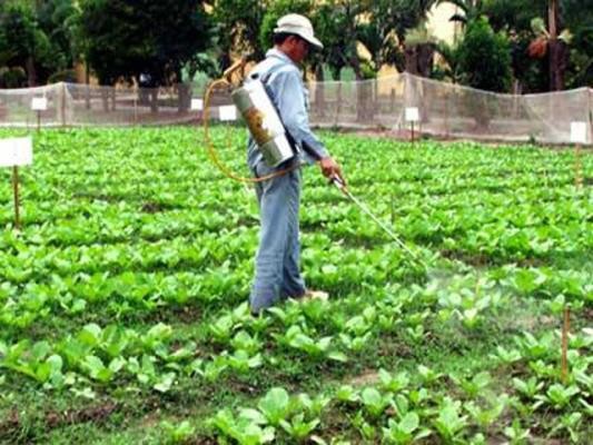 Quá trình sản xuất và chăn nuôi tiềm ẩn nhiều nguy cơ mất an toàn thực phẩm
