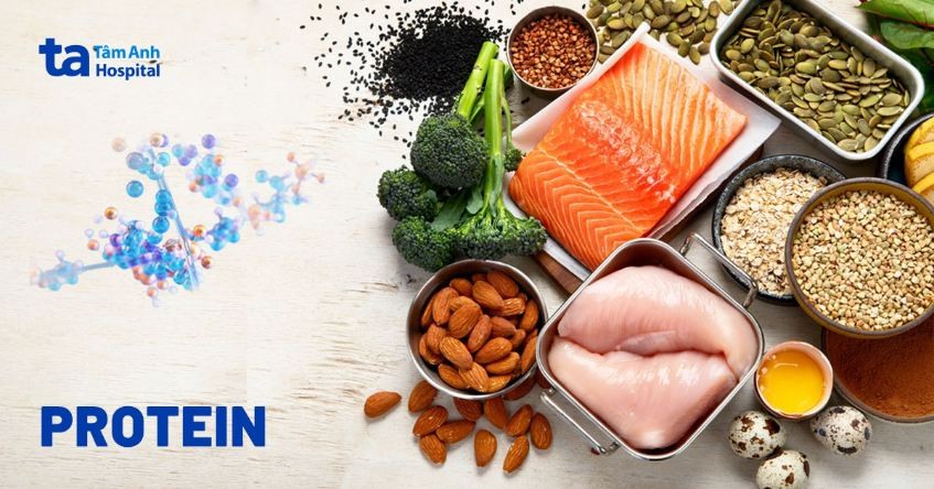 Protein là gì và vai trò quan trọng