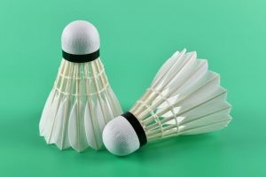 Ảnh cận cảnh một quả cầu lông với 16 cánh lông vũ được đếm