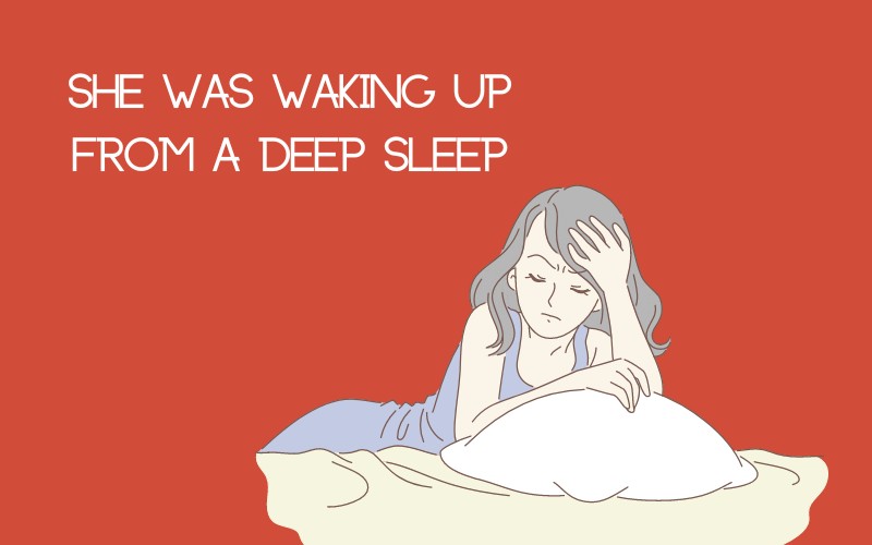 Ví dụ về thì quá khứ tiếp diễn của động từ Wake
