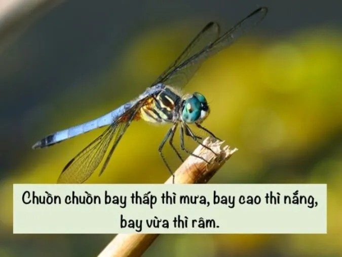 Hình ảnh bảo dưỡng xe tải trong mùa mưa bão