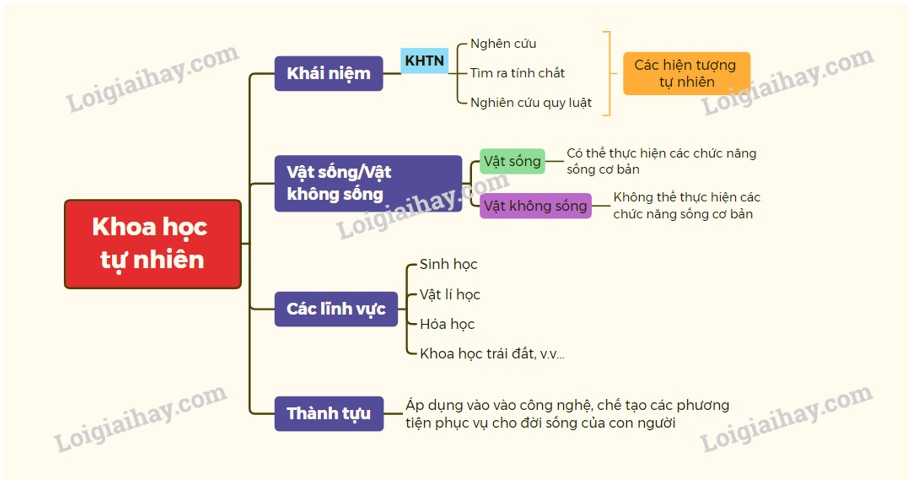 ứng dụng vật lý trong thiết kế xe tải