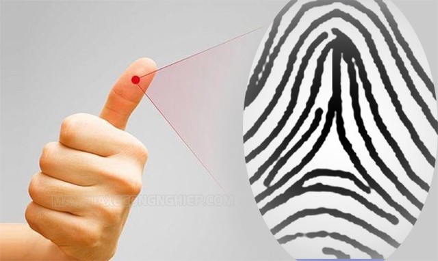 Những ý nghĩa của sinh trắc vân tay