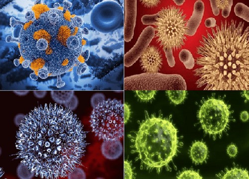 Các loại virus có hình dạng khác nhau