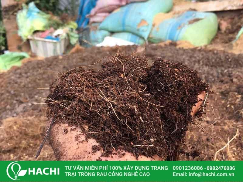 Giá thể xơ dừa được ứng dụng rộng rãi trong nông nghiệp nhờ khả năng giữ ẩm, cải thiện cấu trúc đất và bảo vệ cây trồng