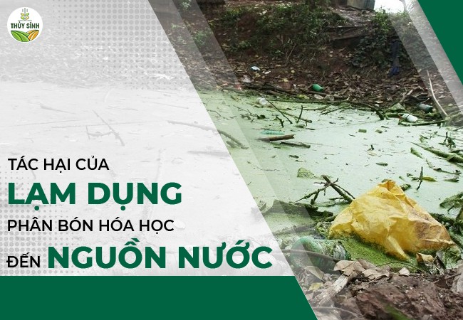 Tác hại của phân bón hóa học đến nguồn nước