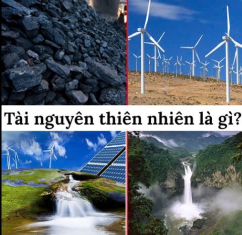 Trồng cây