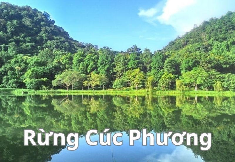 đa dạng sinh học rừng mưa nhiệt đới