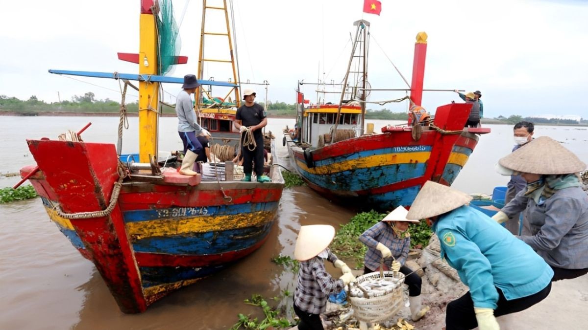 Bản đồ hành chính tỉnh Thái Bình, thể hiện các huyện, thành phố và thị trấn