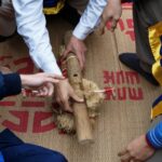 Hình ảnh minh họa cọ xát gỗ tạo ra lửa