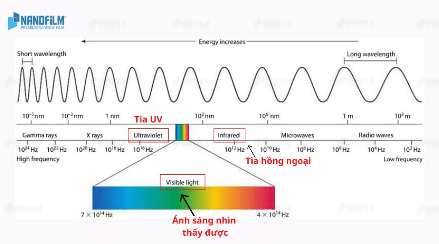 Thang sóng điện từ