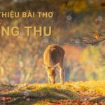 Lưu Trọng Lư