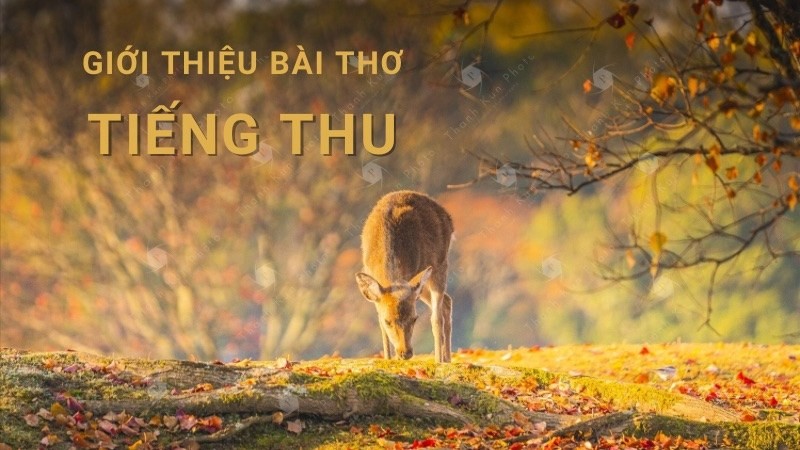 Lưu Trọng Lư