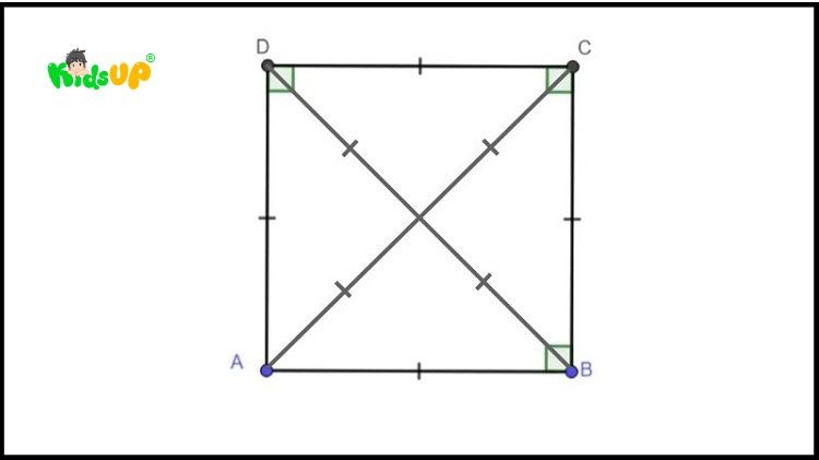 Tính chất của hình vuông