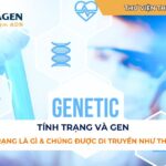Mô tả: Tính trạng vật lý như màu tóc và màu mắt, là những đặc điểm di truyền được quan sát thấy ở con người.