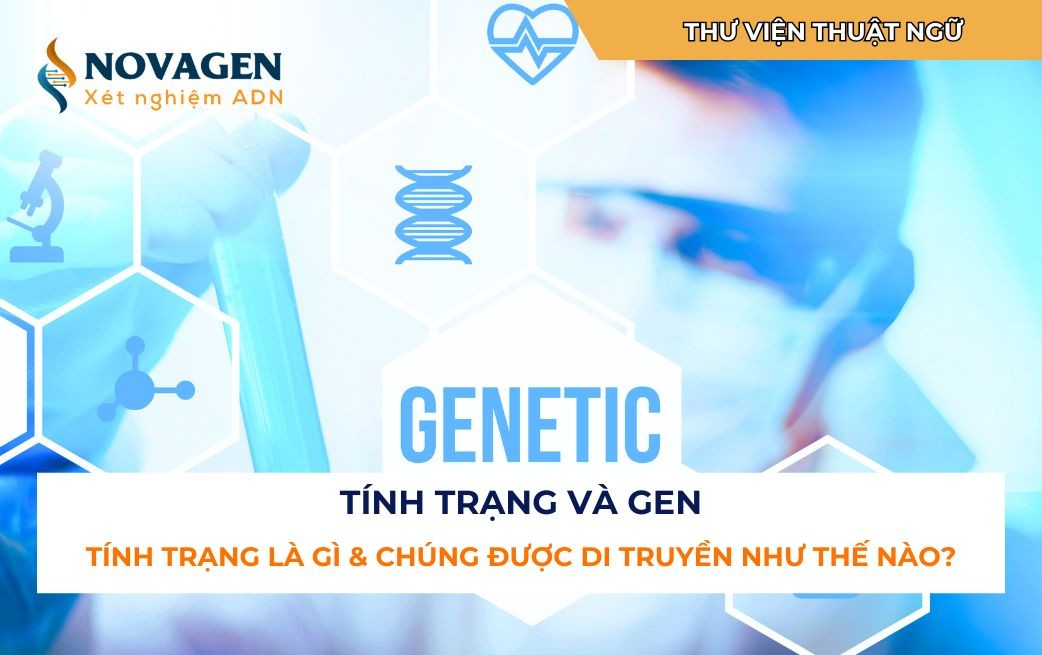 Mô tả: Tính trạng vật lý như màu tóc và màu mắt, là những đặc điểm di truyền được quan sát thấy ở con người.