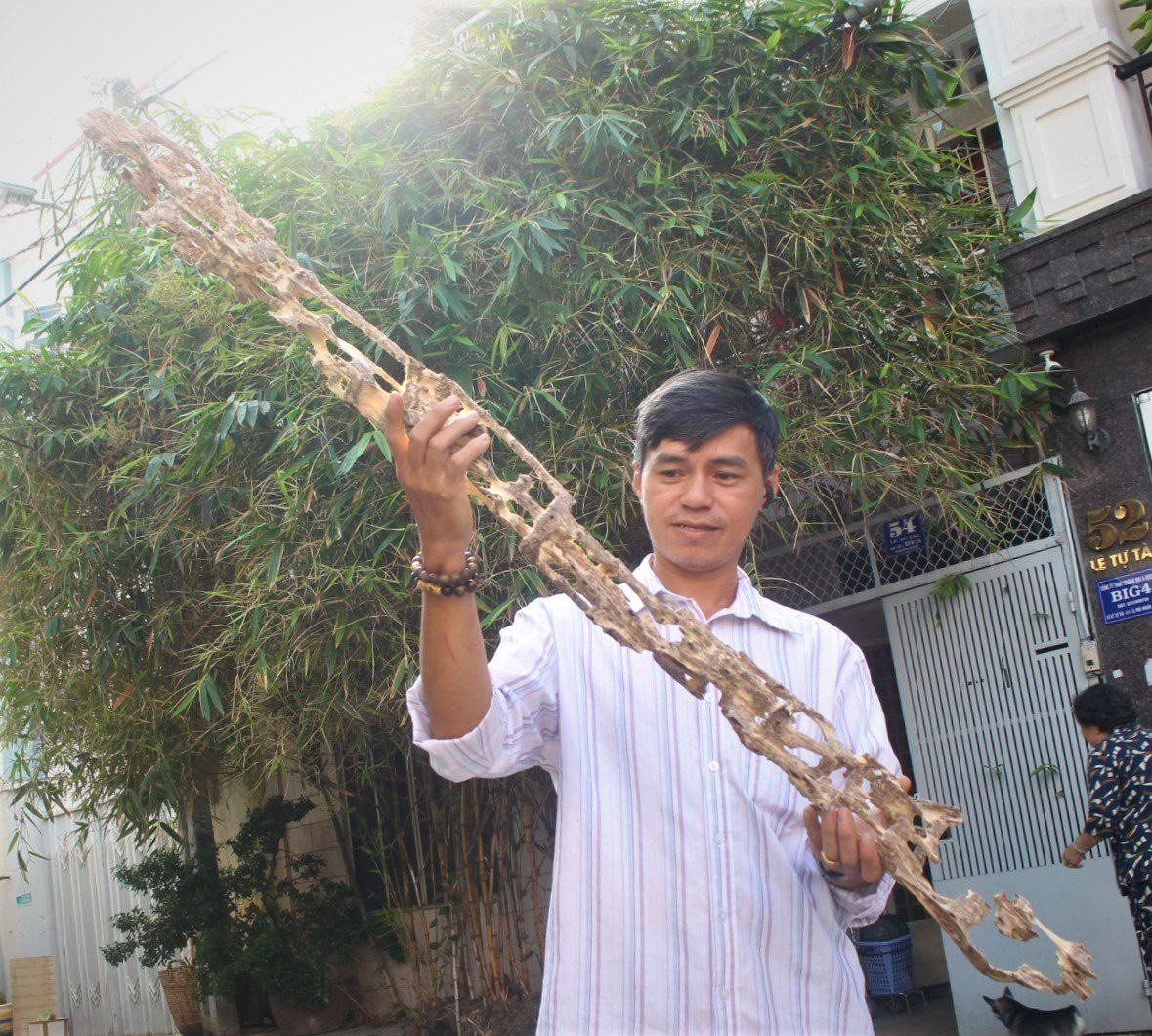 Tá»•ng QuÃ¡t Vá» Tráº§m HÆ°Æ¡ng Viá»‡t Nam