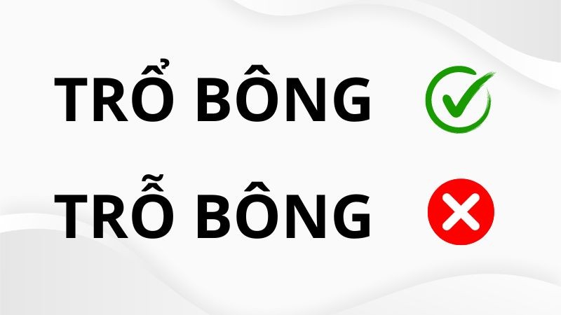 Trổ bông lúa vàng óng ả, báo hiệu mùa bội thu