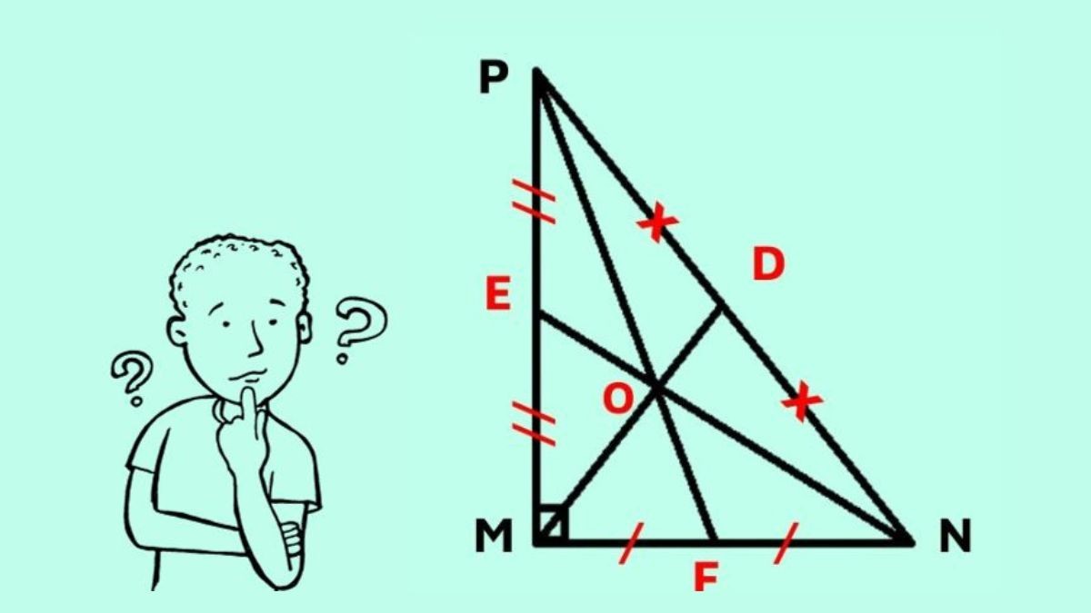 Vị trí tâm của tam giác vuông