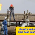 Dầu mỏ hình thành từ xác sinh vật biển cổ đại