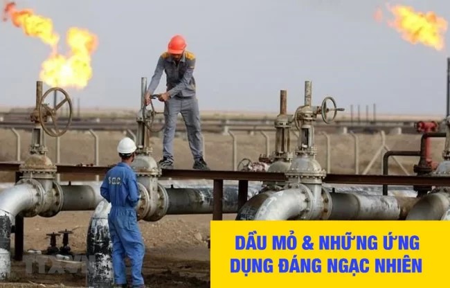 Dầu mỏ hình thành từ xác sinh vật biển cổ đại