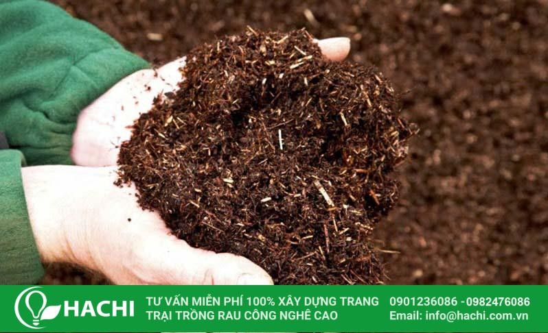 Sử dụng xơ dừa làm giá thể giúp cây trồng phát triển mạnh mẽ và bền vững nhờ khả năng giữ ẩm và thoáng khí tốt