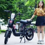 Xe đạp điện Pega