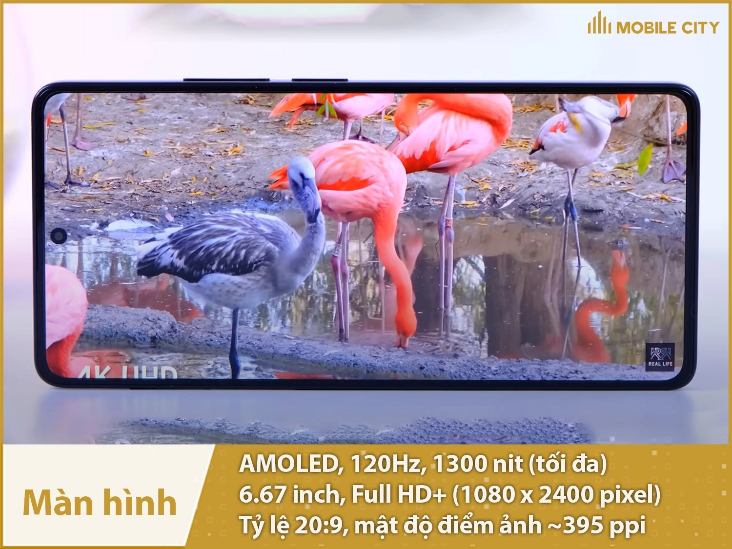 Đánh giá màn hình của Xiaomi POCO M6 Pro 4G