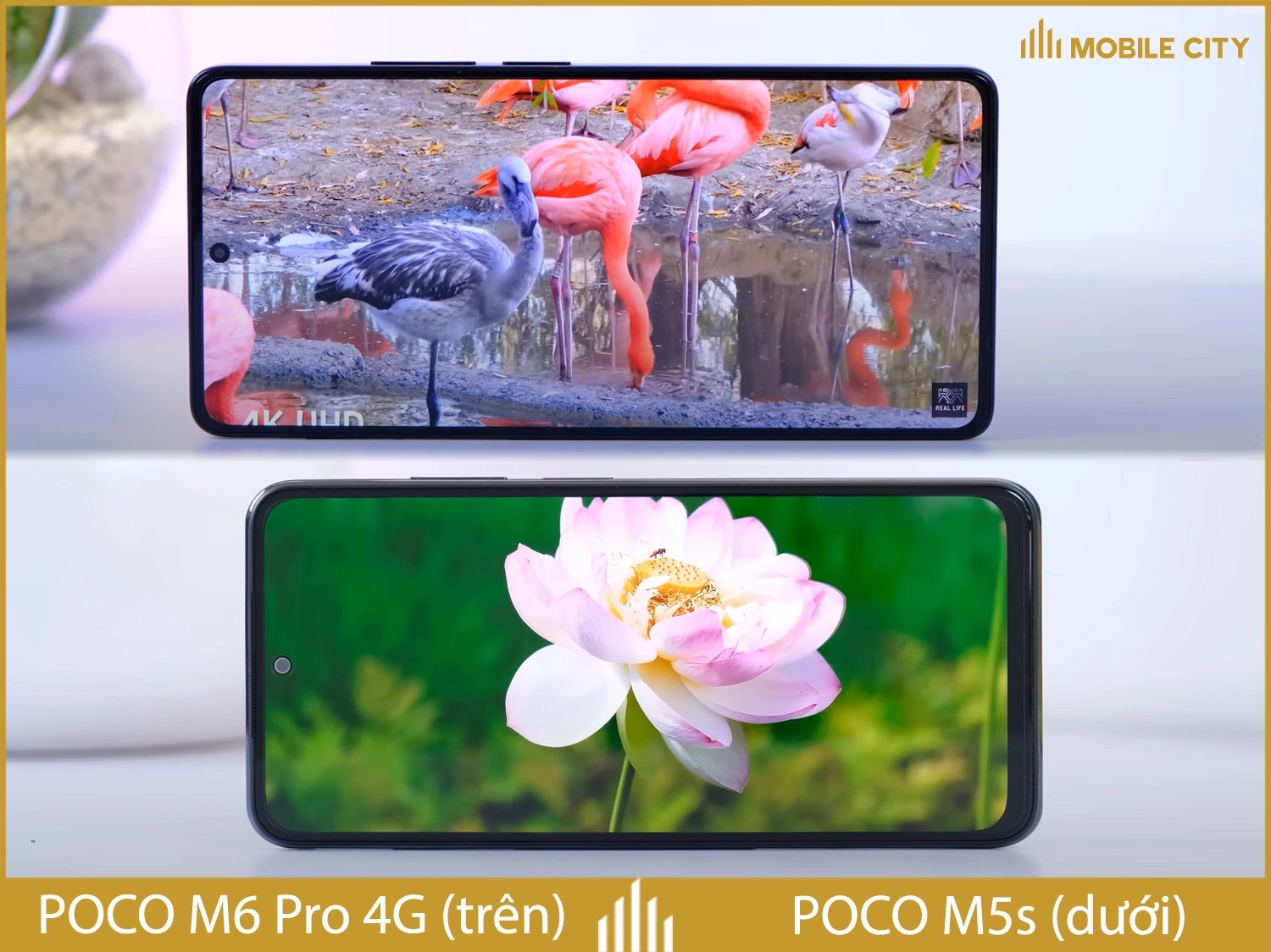 So sánh màn hình POCO M6 Pro 4G và POCO M5s, điểm nổi bật là tần số quét 120Hz và độ sáng cao hơn