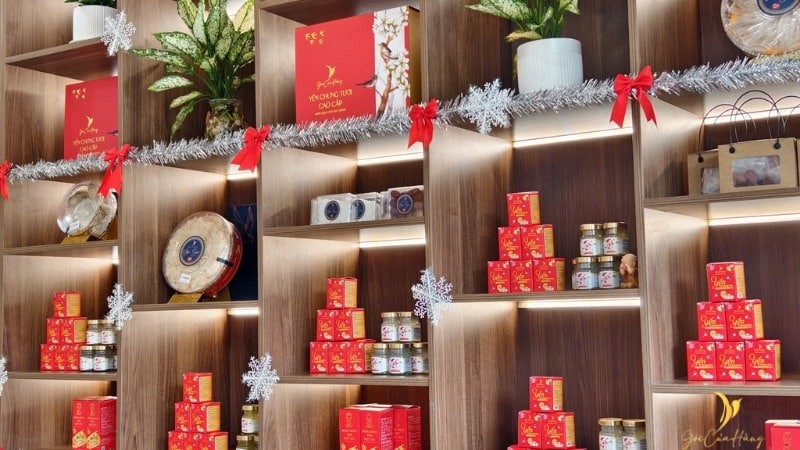 Yến sào song yến tự nhiên với giá trị dinh dưỡng cao